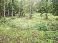  Residential Plot for Sale in Borim, Ponda, Goa