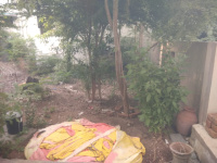  Commercial Land for Sale in Tapovanam, Anantapur