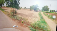  Agricultural Land for Sale in Dharuhera, Rewari