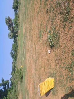  Residential Plot for Sale in Bagayam, Vellore