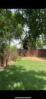  Agricultural Land for Sale in Bilaspur, Gurgaon