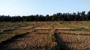  Commercial Land for Sale in Biharigarh, Dehradun