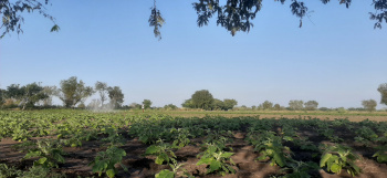  Agricultural Land for Sale in Kusugal Road, Hubli