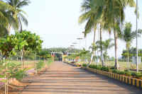 Residential Plot for Sale in Nellimaria, Vizianagaram