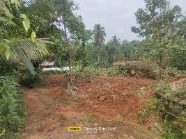  Agricultural Land for Sale in Ottapalam, Palakkad
