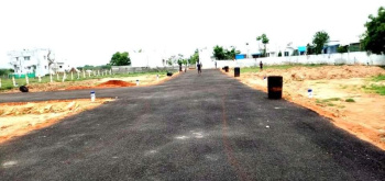  Residential Plot for Sale in Thiruparankundram, Madurai