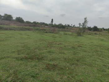  Agricultural Land for Sale in Malur, Bangalore