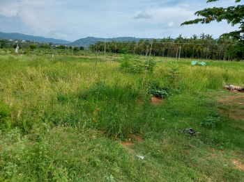  Agricultural Land for Sale in Ramanagara, Bangalore