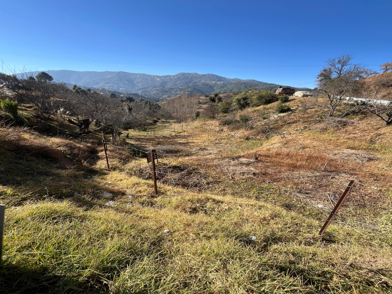  12960 Sq.ft. Residential Plot for Sale in Mukteshwar, Nainital