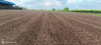  Agricultural Land for Sale in Dindori, Nashik