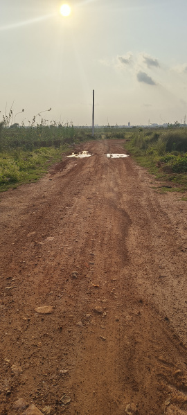  Residential Plot 1500 Sq.ft. for Sale in Bhagawanpur, Bhubaneswar