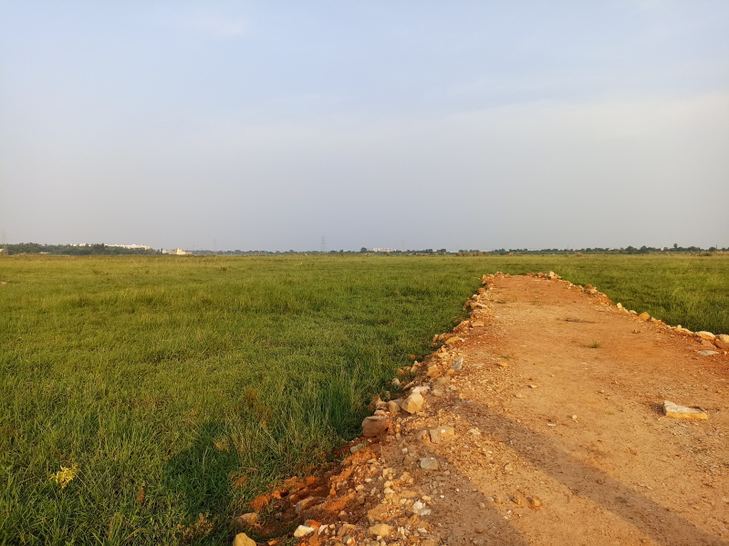  Residential Plot 1500 Sq.ft. for Sale in Sijua, Bhubaneswar