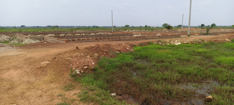 Residential Plot 2000 Sq.ft. for Sale in Patrapada, Bhubaneswar