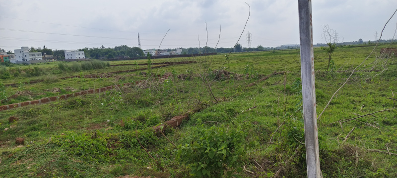  Residential Plot 1800 Sq.ft. for Sale in Sijua, Bhubaneswar