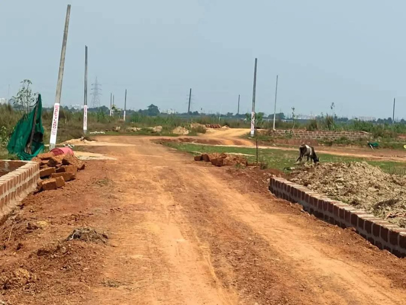  Residential Plot 1200 Sq.ft. for Sale in Patrapada, Bhubaneswar