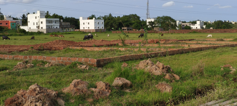  Residential Plot 1500 Sq.ft. for Sale in Patrapada, Bhubaneswar
