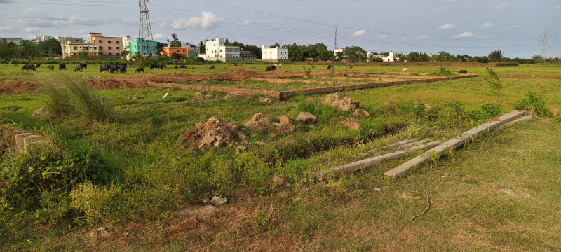  Residential Plot 1500 Sq.ft. for Sale in Patrapada, Bhubaneswar