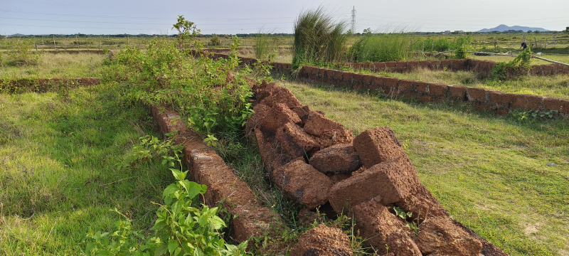  Residential Plot 1501 Sq.ft. for Sale in Bhagawanpur, Bhubaneswar
