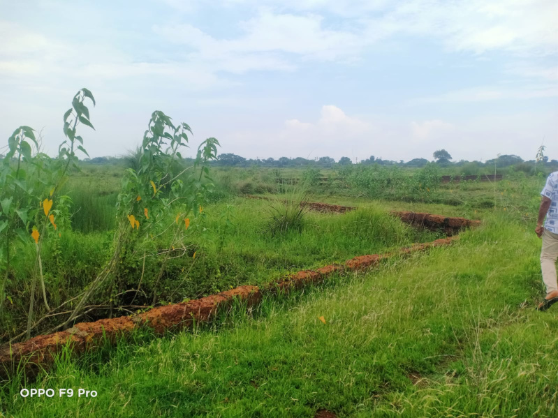  Residential Plot 1501 Sq.ft. for Sale in Patrapada, Bhubaneswar