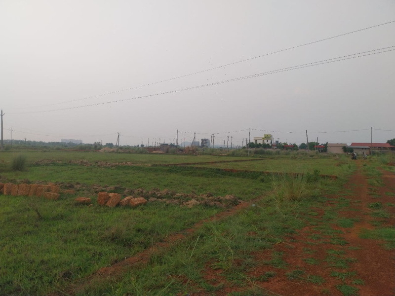  Residential Plot 1501 Sq.ft. for Sale in Patrapada, Bhubaneswar