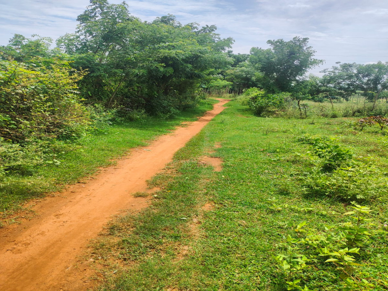  Residential Plot 1300 Sq.ft. for Sale in Patia, Bhubaneswar