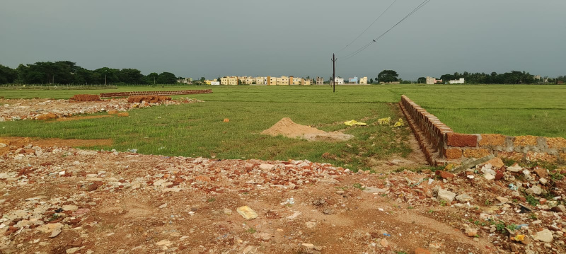  Residential Plot 1501 Sq.ft. for Sale in Patrapada, Bhubaneswar