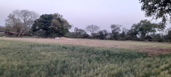  Agricultural Land for Sale in Beejoliya Kalan, Bhilwara