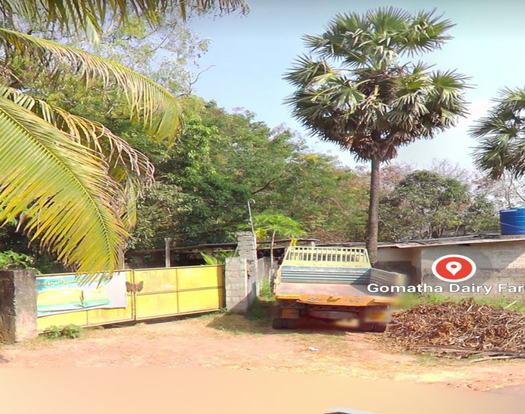  Residential Plot 13 Cent for Sale in Nithiravilai, Kanyakumari