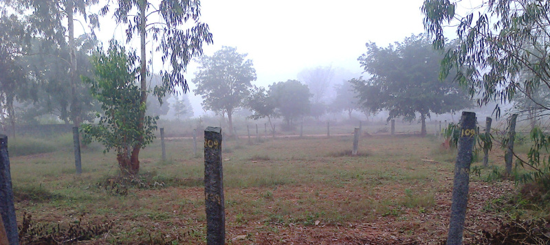  2400 Sq.ft. Residential Plot for Sale in Devanahalli, Bangalore