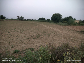 Agricultural Land for Sale in Kishangarh, Alwar