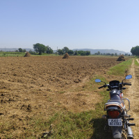  Agricultural Land for Sale in Ramgarh, Alwar