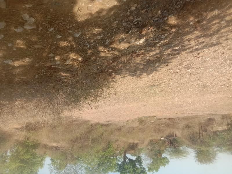  27872 Sq.ft. Agricultural/Farm Land for Sale in New Colony, Dungarpur