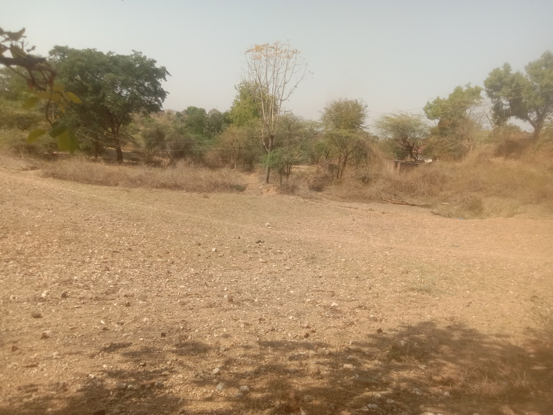  27872 Sq.ft. Agricultural/Farm Land for Sale in New Colony, Dungarpur