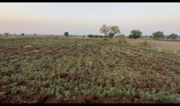  Agricultural Land for Sale in Kandukur, Rangareddy