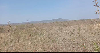  Agricultural Land for Sale in Amarwara, Chhindwara