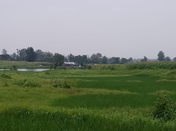  Agricultural Land for Sale in Kurai, Seoni