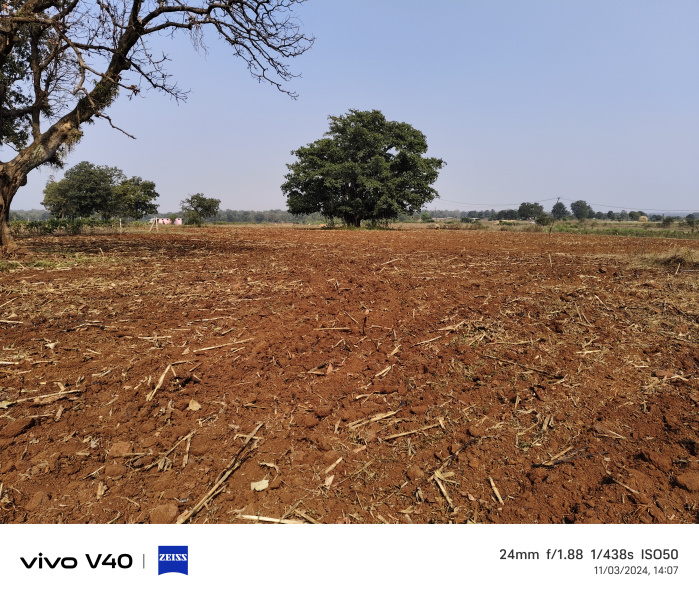  Agricultural Land 7 Acre for Sale in Gopalganj, Seoni