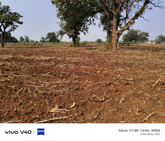  Agricultural Land 7 Acre for Sale in Gopalganj, Seoni