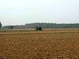  Agricultural Land for Sale in Sector 42 Sonipat