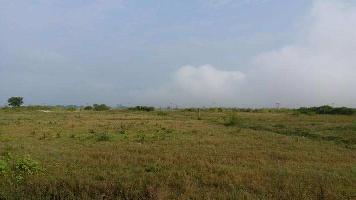  Agricultural Land for Sale in GT Karnal Road, Sonipat