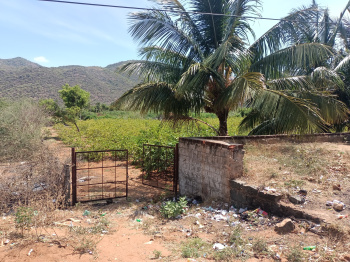  Agricultural Land for Rent in Andipatti Jakkampatti, Theni