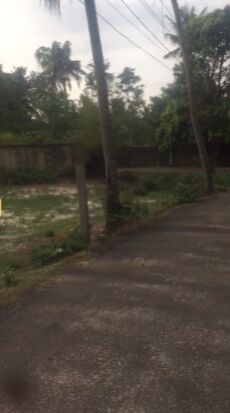  Residential Plot 16 Cent for Sale in Cherthala, Alappuzha