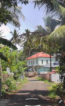  Residential Plot for Sale in Kaduthuruthy, Kottayam