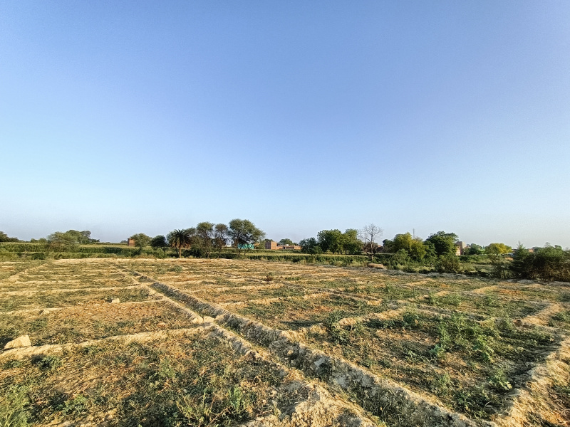 Agricultural Land 4 Bigha for Sale in Akbarpur, Kanpur Dehat