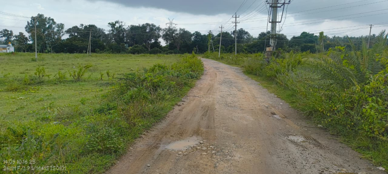  2100 Sq.ft. Residential Plot for Sale in Nelamangala, Bangalore