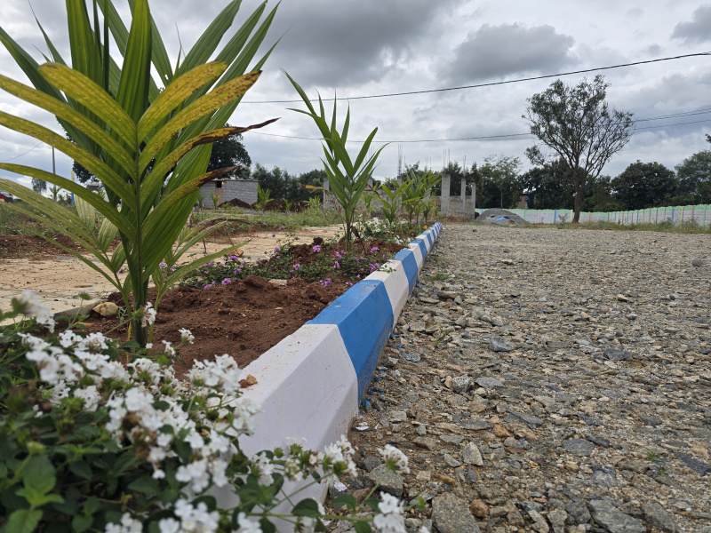 1 RK 6000 Sq.ft. Farm House for Sale in Vaddarapalya, Hennur, Bangalore