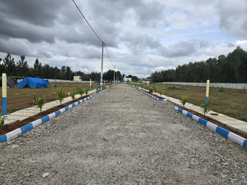 1 BHK 5990 Sq.ft. Farm House for Sale in Nelamangala, Bangalore