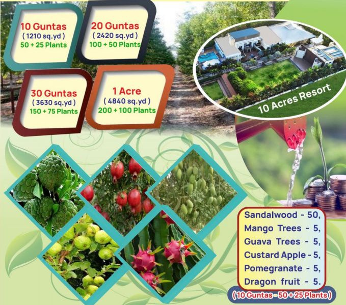  Agricultural Land 20 Guntha for Sale in Gulbarga, Kalaburagi