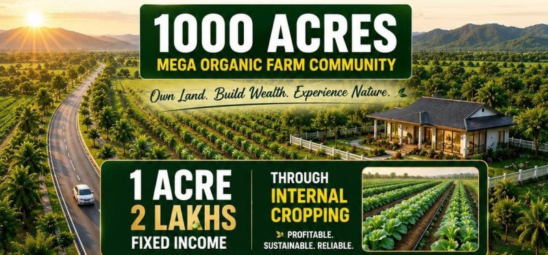  20 Guntha Residential Plot for Sale in Chincholi, Gulbarga