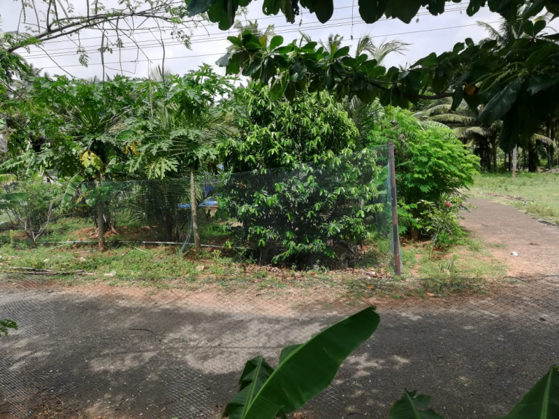 Residential Plot 1575 Sq.ft. for Sale in Mylampatti, Coimbatore